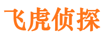 临渭市私家侦探